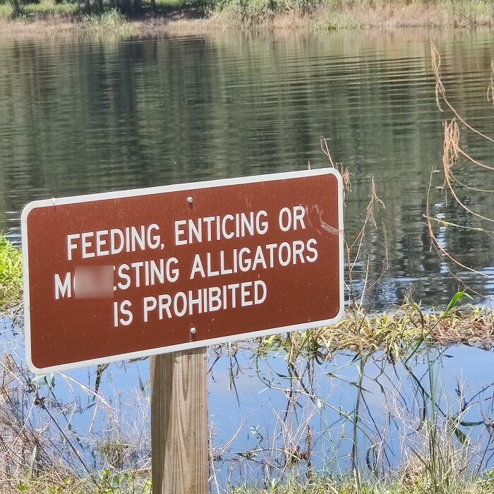 Florida Man: Braver Every Day