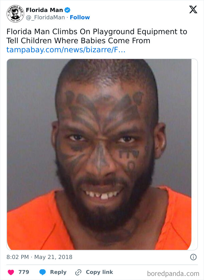 Florida's Wild Side: Pics That'll Make You Go 'Wait, What?!'