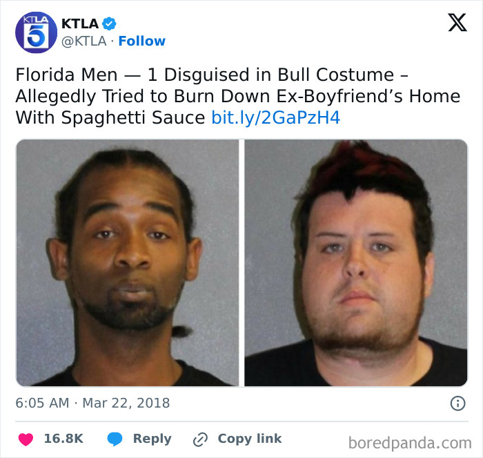 Florida's Wild Side: Pics That'll Make You Go 'Wait, What?!'