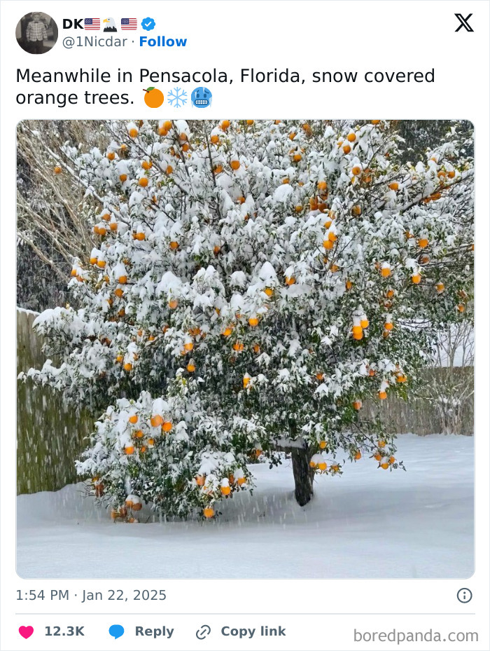 Florida's Wild Side: Pics That'll Make You Go 'Wait, What?!'
