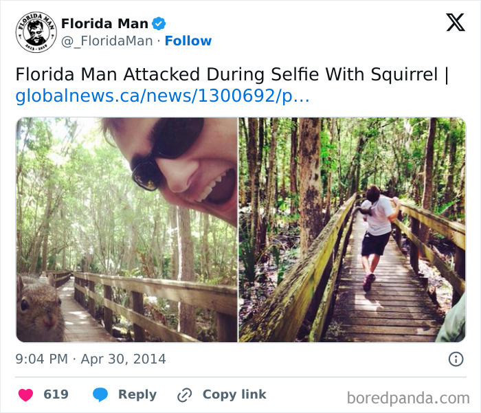 Florida's Wild Side: Pics That'll Make You Go 'Wait, What?!'