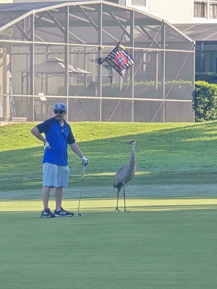 Caught The Perfect Florida Moment This Morning
