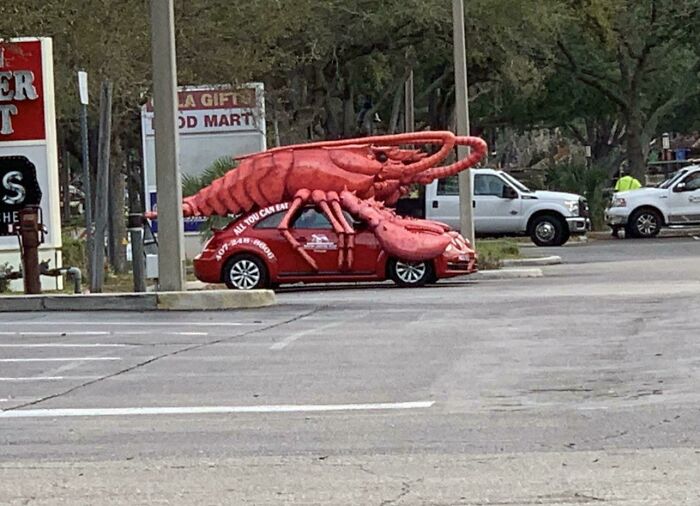 What Kind Of Car Is This?! Florida Mystery Ride