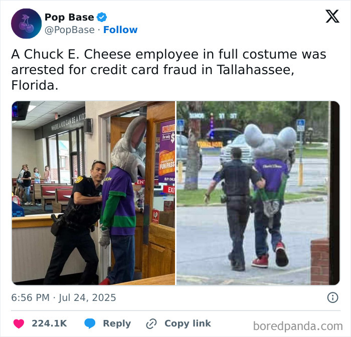Florida's Wild Side: Pics That'll Make You Go 'Wait, What?!'