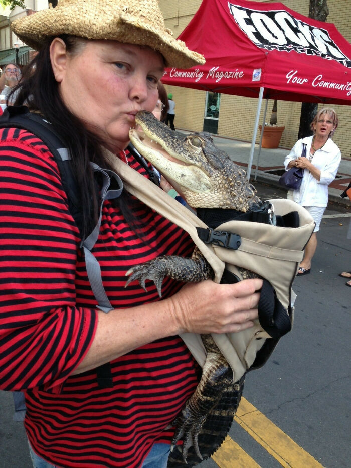 Welcome To Florida, Where Weird Is The Norm