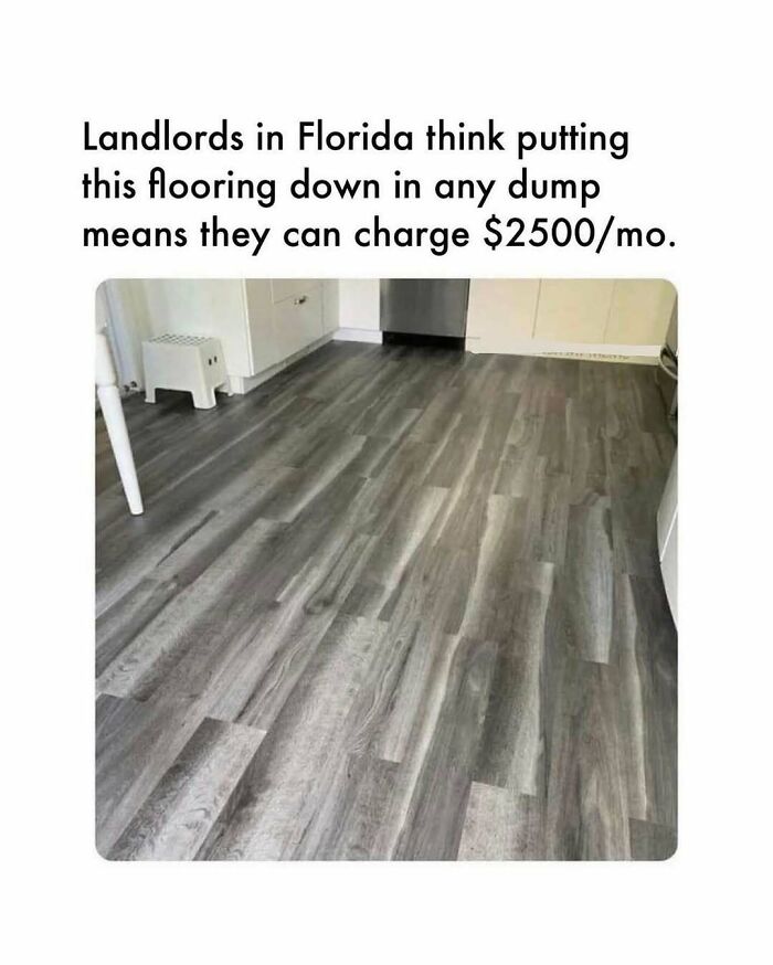 Florida's Wild Side: Pics That'll Make You Go 'Wait, What?!'