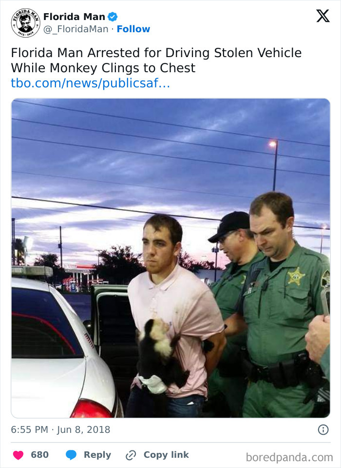 Florida's Wild Side: Pics That'll Make You Go 'Wait, What?!'