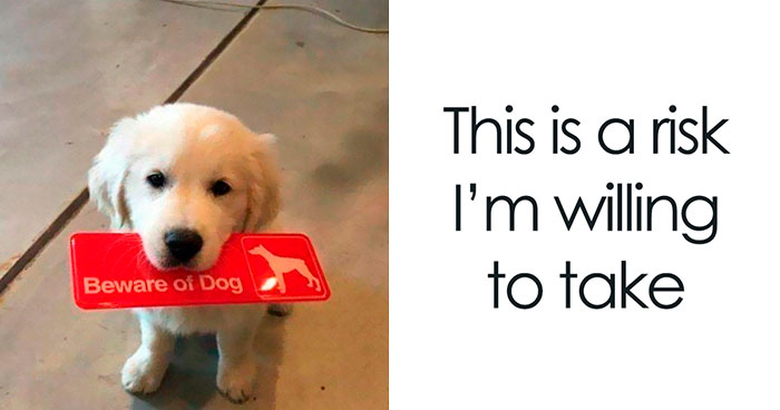 Wait Till You See These Adorable Moments That Totally Warmed Our Hearts