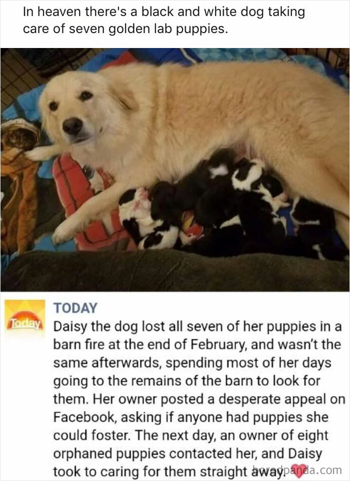 The Sweetest Kind of Cute You’ll See Today