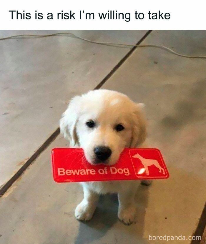This One’s a Sure Thing of Joy