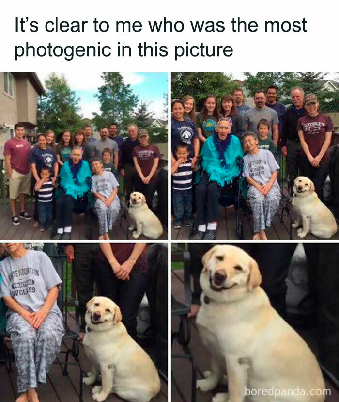 No Contest Here, Just Pure Love