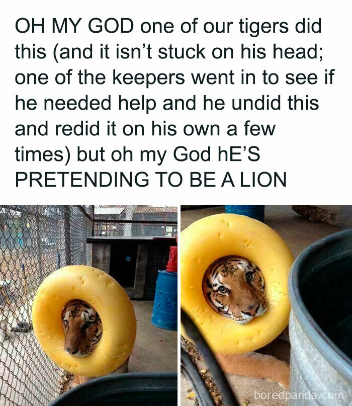 Well, What Can We Say? Cute Happened!