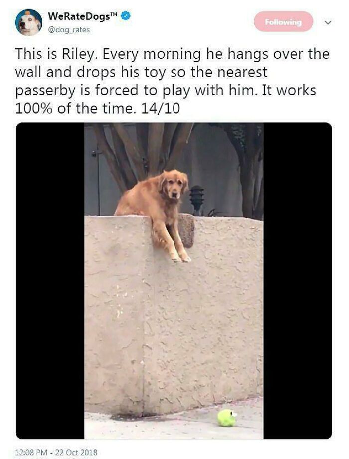 I’d Totally Fall for This Trick