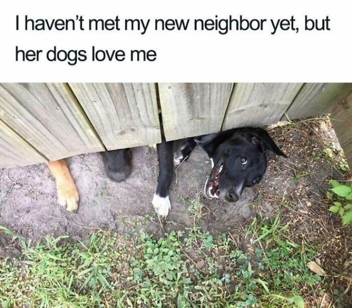Wait Till You See These Adorable Moments That Totally Warmed Our Hearts