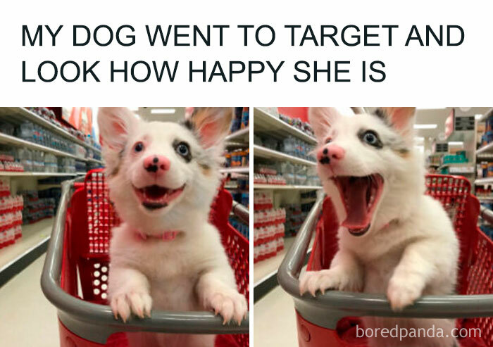 Wait Till You See These Adorable Moments That Totally Warmed Our Hearts