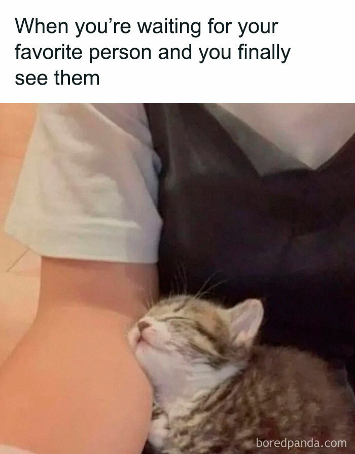 Wait Till You See These Adorable Moments That Totally Warmed Our Hearts