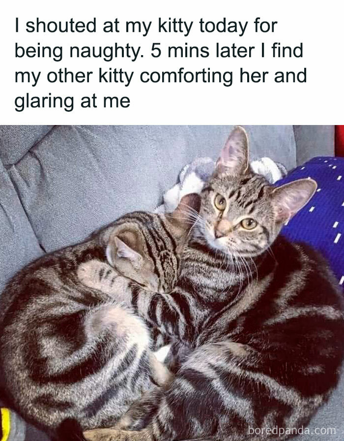 Wait Till You See These Adorable Moments That Totally Warmed Our Hearts