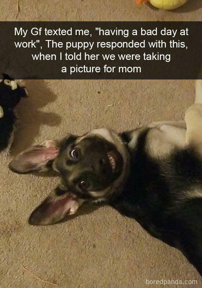 Wait Till You See These Adorable Moments That Totally Warmed Our Hearts