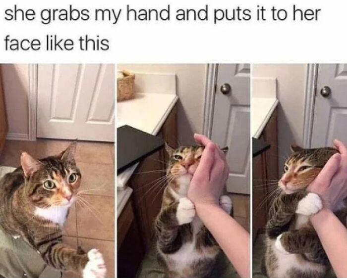 Wait Till You See These Adorable Moments That Totally Warmed Our Hearts