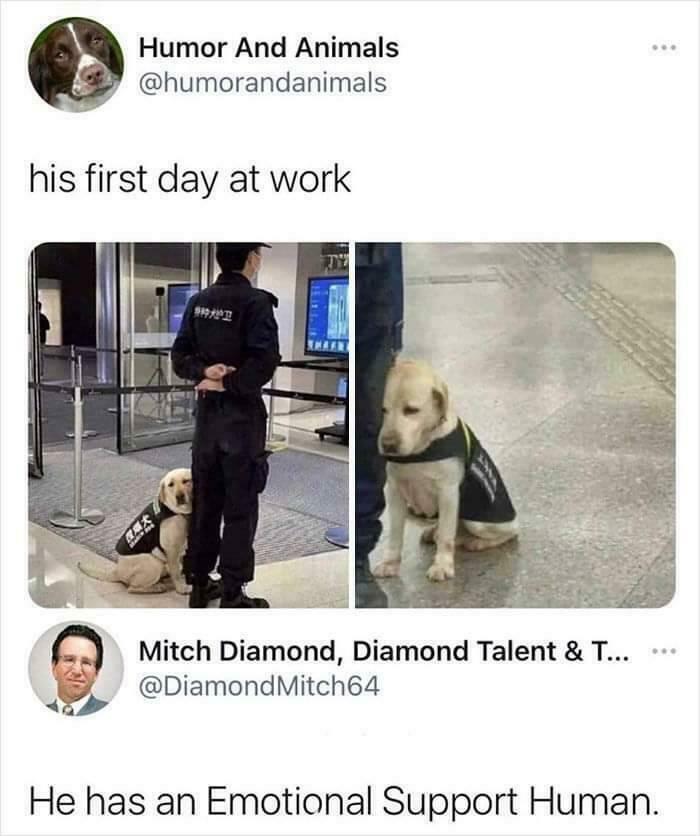 Wait Till You See These Adorable Moments That Totally Warmed Our Hearts