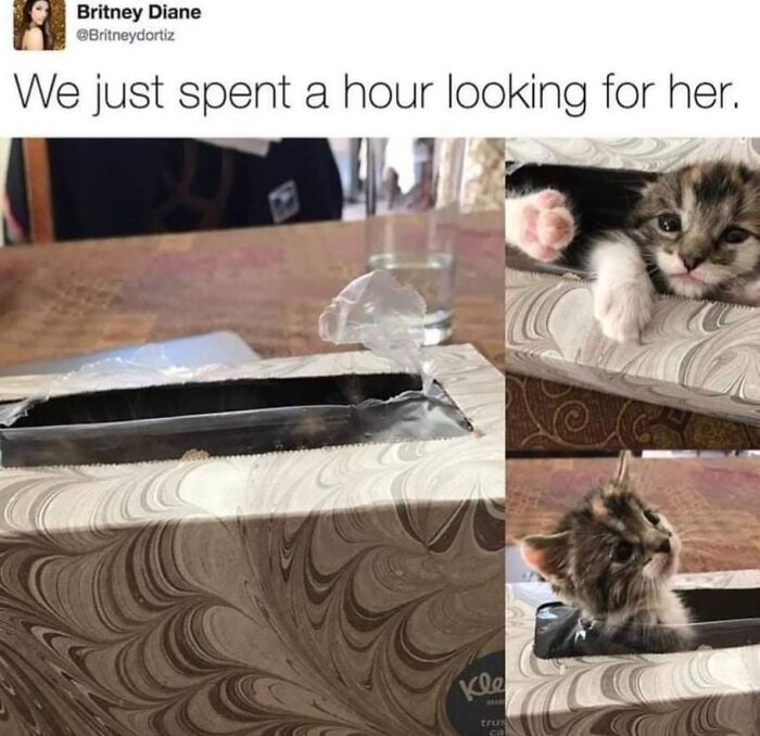 Wait Till You See These Adorable Moments That Totally Warmed Our Hearts