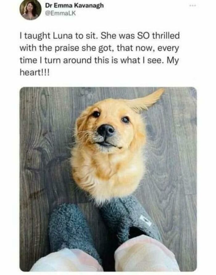 Wait Till You See These Adorable Moments That Totally Warmed Our Hearts