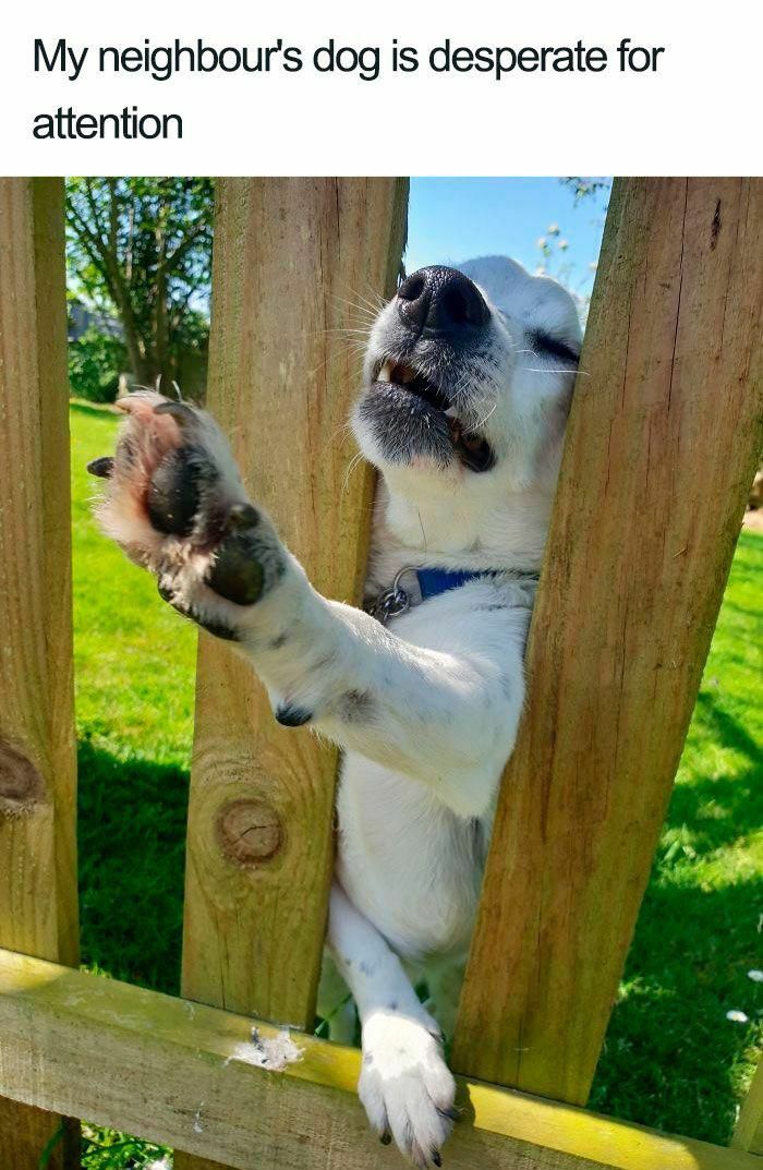 Wait Till You See These Adorable Moments That Totally Warmed Our Hearts