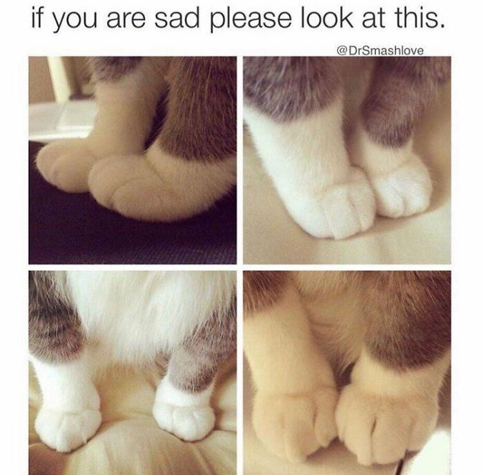 Wait Till You See These Adorable Moments That Totally Warmed Our Hearts