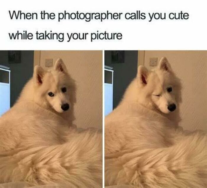 Wait Till You See These Adorable Moments That Totally Warmed Our Hearts