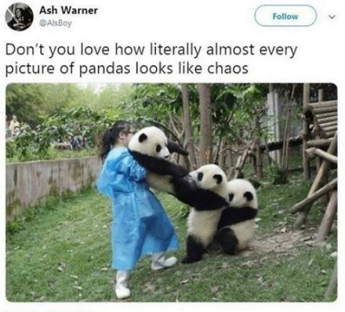 Wait Till You See These Adorable Moments That Totally Warmed Our Hearts