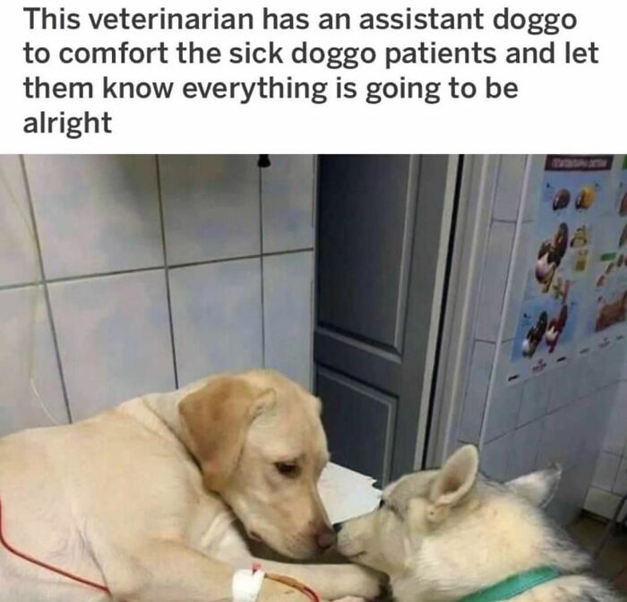 Wait Till You See These Adorable Moments That Totally Warmed Our Hearts