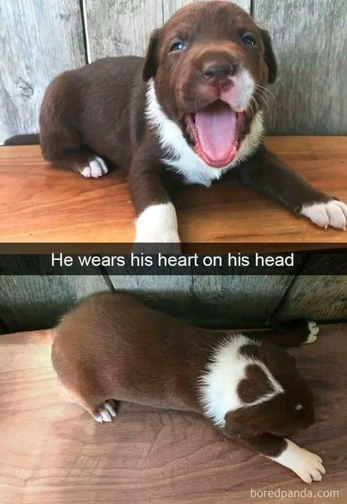 Wait Till You See These Adorable Moments That Totally Warmed Our Hearts
