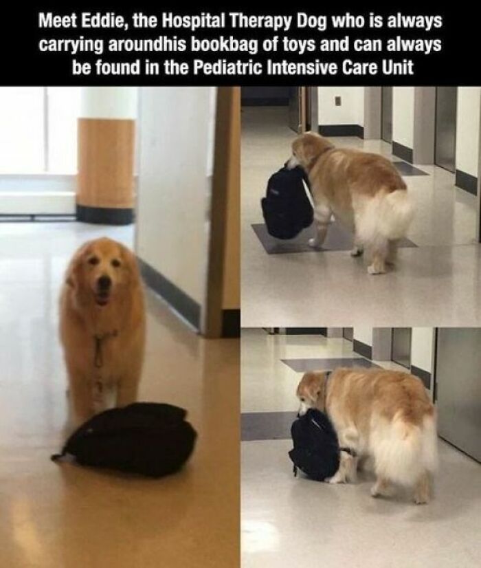 Wait Till You See These Adorable Moments That Totally Warmed Our Hearts