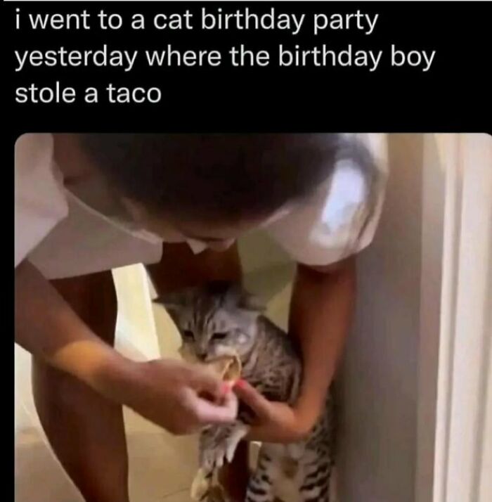 Wait Till You See These Adorable Moments That Totally Warmed Our Hearts