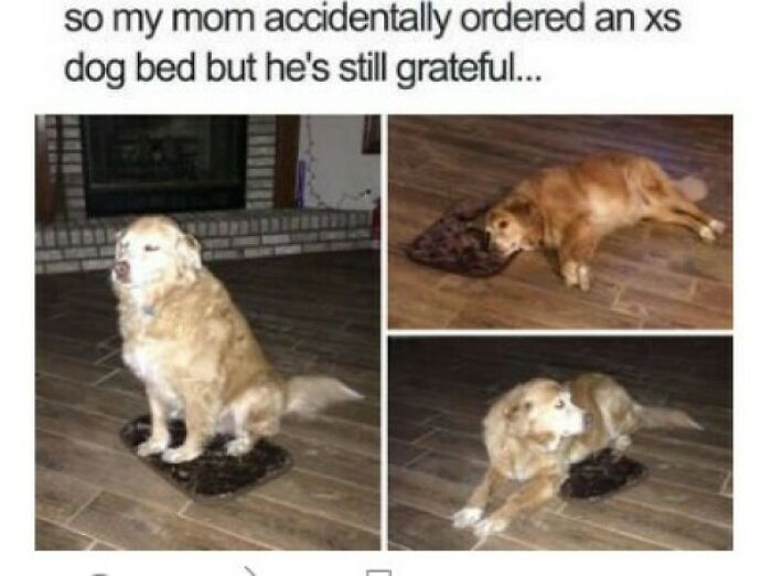 Wait Till You See These Adorable Moments That Totally Warmed Our Hearts