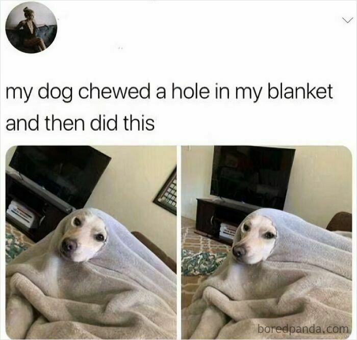 Wait Till You See These Adorable Moments That Totally Warmed Our Hearts