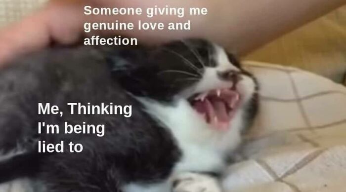 Wait Till You See These Adorable Moments That Totally Warmed Our Hearts