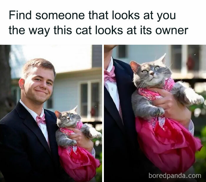 Wait Till You See These Adorable Moments That Totally Warmed Our Hearts