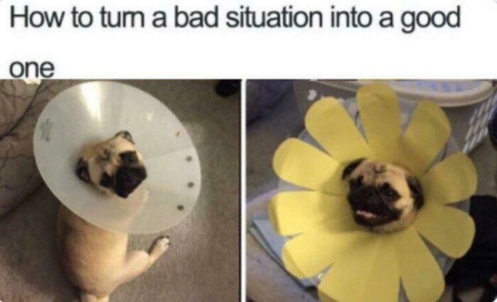 Wait Till You See These Adorable Moments That Totally Warmed Our Hearts