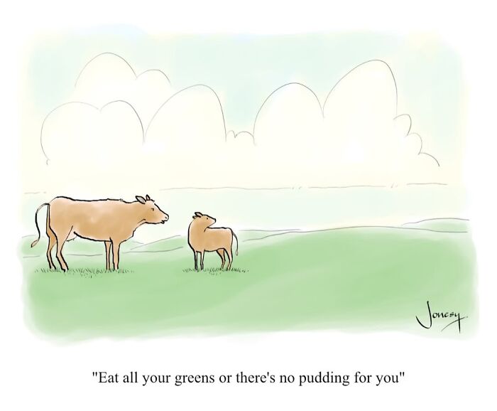40 Genius Cartoons By Jonesy That Nail Everyday Weirdness