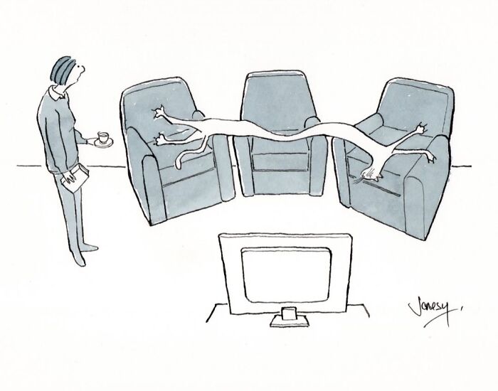 40 Genius Cartoons By Jonesy That Nail Everyday Weirdness