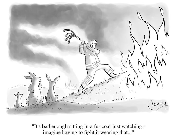 40 Genius Cartoons By Jonesy That Nail Everyday Weirdness