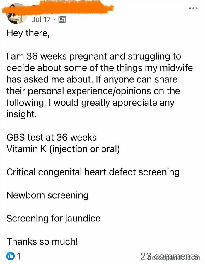 From The Wild World Of Freebirthing Groups