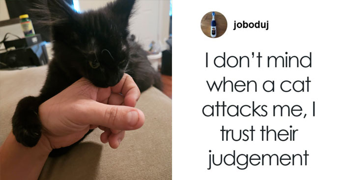 Let’s Dive Into Some of August’s Funniest Tweets That Totally Nailed It!