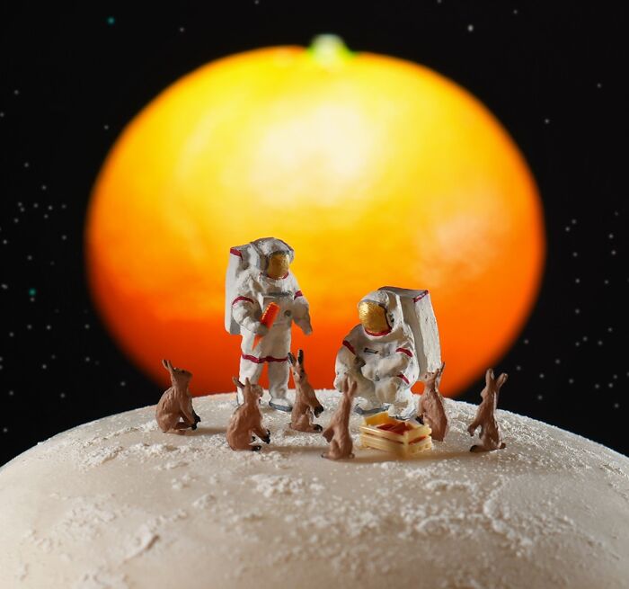 Rice Cake Moon