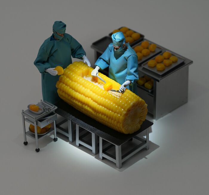 Harvesting Corn