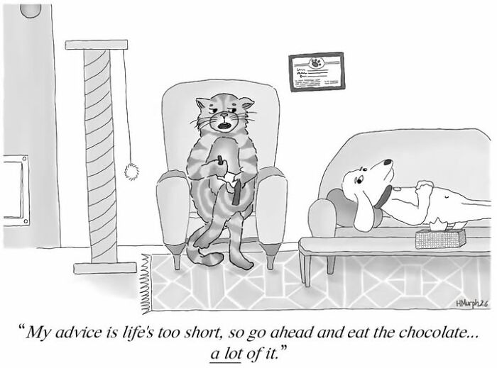 Let's Dive Into 40 Comics That Make Everyday Life Weirdly Funny