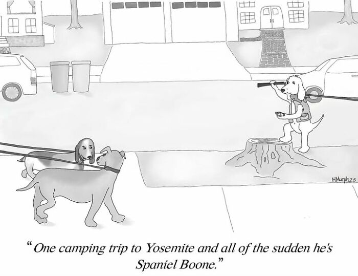 Let's Dive Into 40 Comics That Make Everyday Life Weirdly Funny