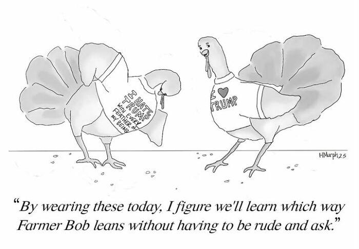 Let's Dive Into 40 Comics That Make Everyday Life Weirdly Funny