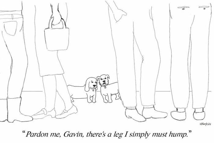 Let's Dive Into 40 Comics That Make Everyday Life Weirdly Funny